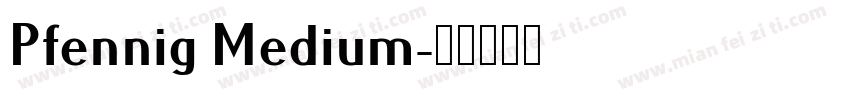 Pfennig Medium字体转换
